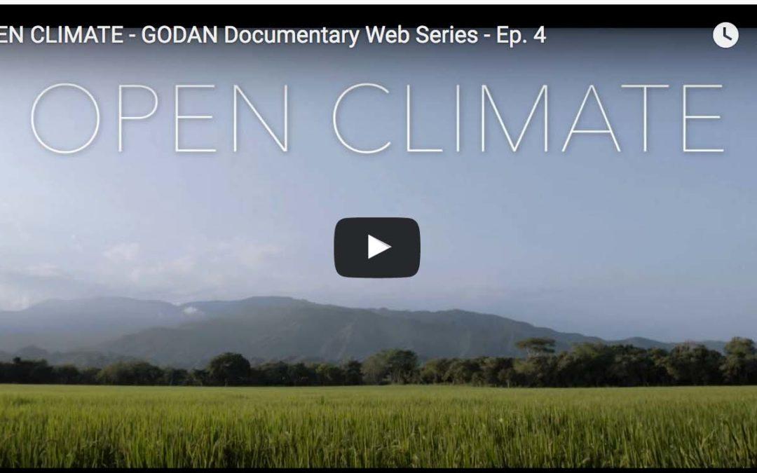 New video gives a glimpse of CIAT's work on big data