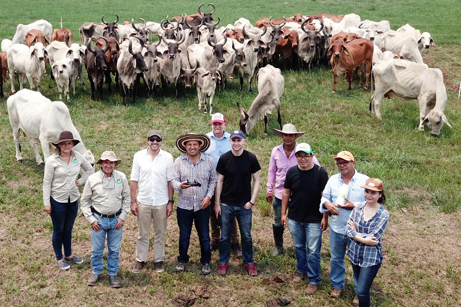 Multilayered information to improve livestock production systems in Colombia