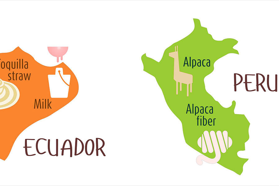 LINK finds an echo with Heifer teams in South America and other regions