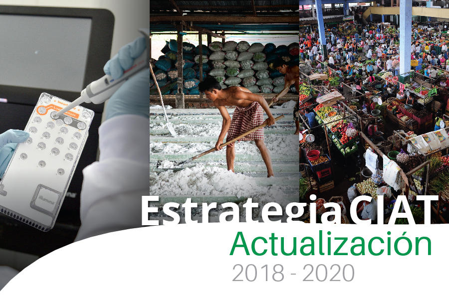 El CIAT actualiza su Estrategia para 2018–2020