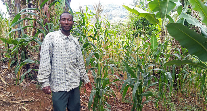 Tailor-made CSA: adapting best-bet practices for East African smallholders