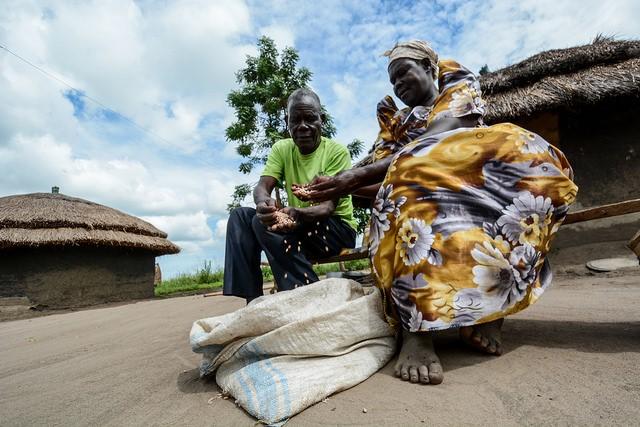 How Can Ugandan Farmers Ease South Sudan Hunger Crisis?