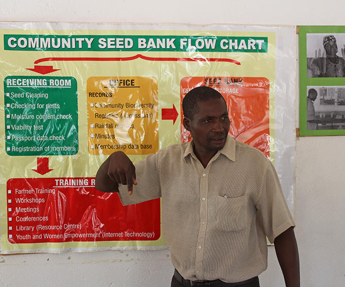 Farmers’ rights in practice: contributions of community seed banks