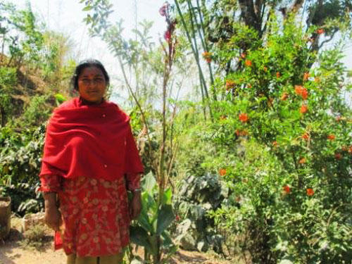 Evolution of gender relations among Nepalese farmers