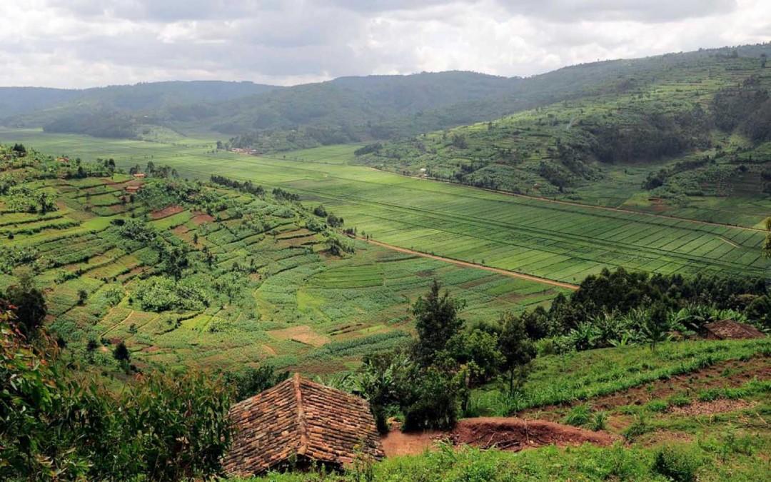 Transforming Rwanda’s missing climate data into information for farmers