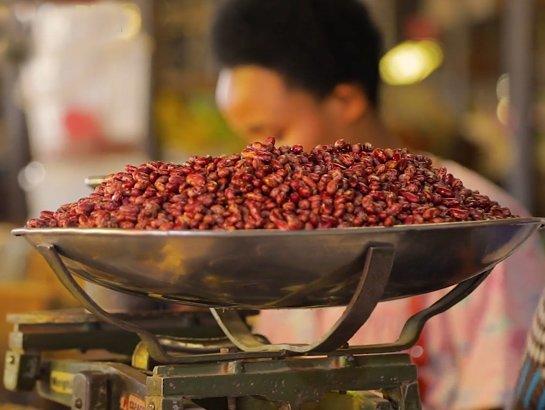 Video: How Iron Beans Gained Ground in Rwanda
