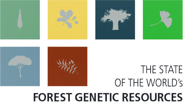 Action needed to safeguard genetic diversity of the world's forests