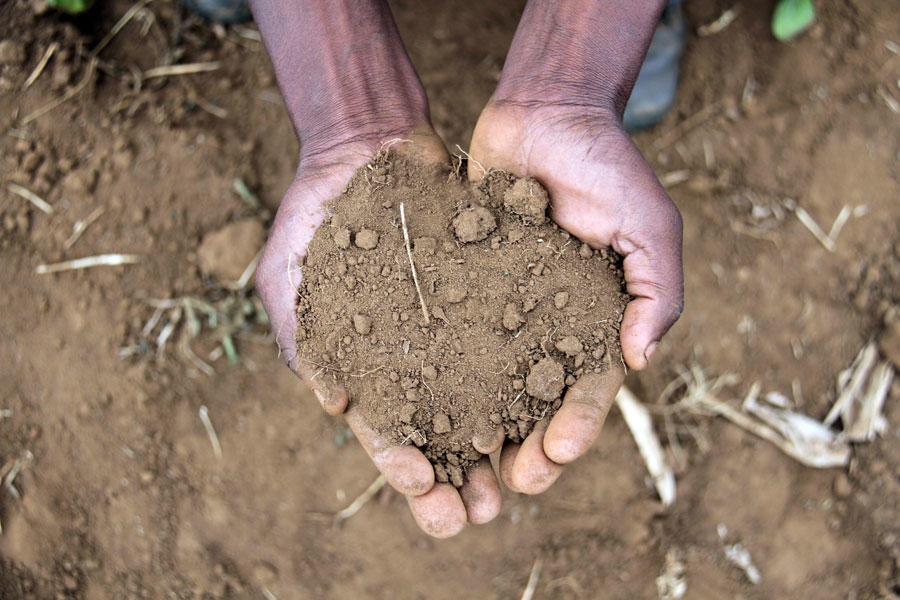 Estudio: agricultores podrían incrementar su producción y contribuir a reducir hasta una gigatonelada métrica de emisiones de carbono