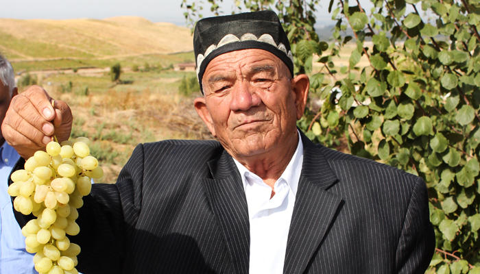 Uzbek farmers get a livelihood boost from local fruit tree conservation