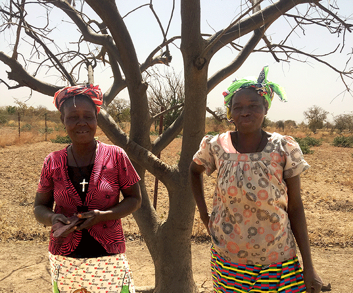 Beyond trees: Land restoration to enhance gender equality in Burkina Faso