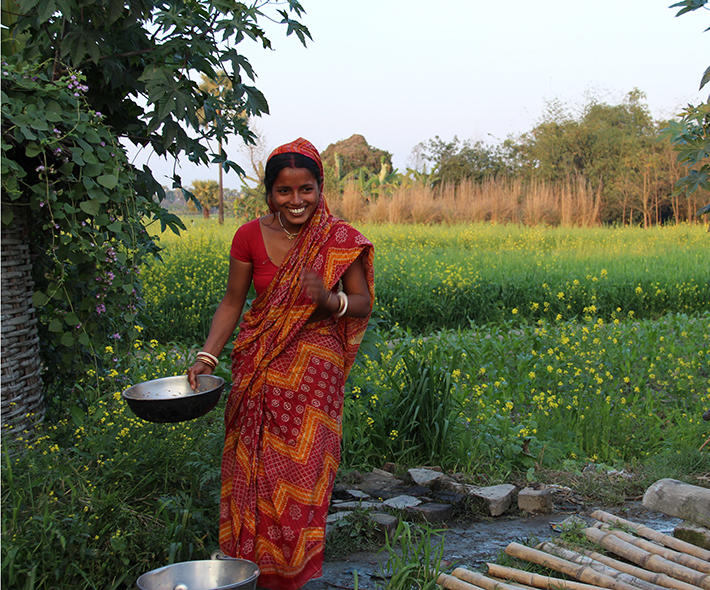 Godavari Basin: Agriculture facing up to Anthropocene challenges