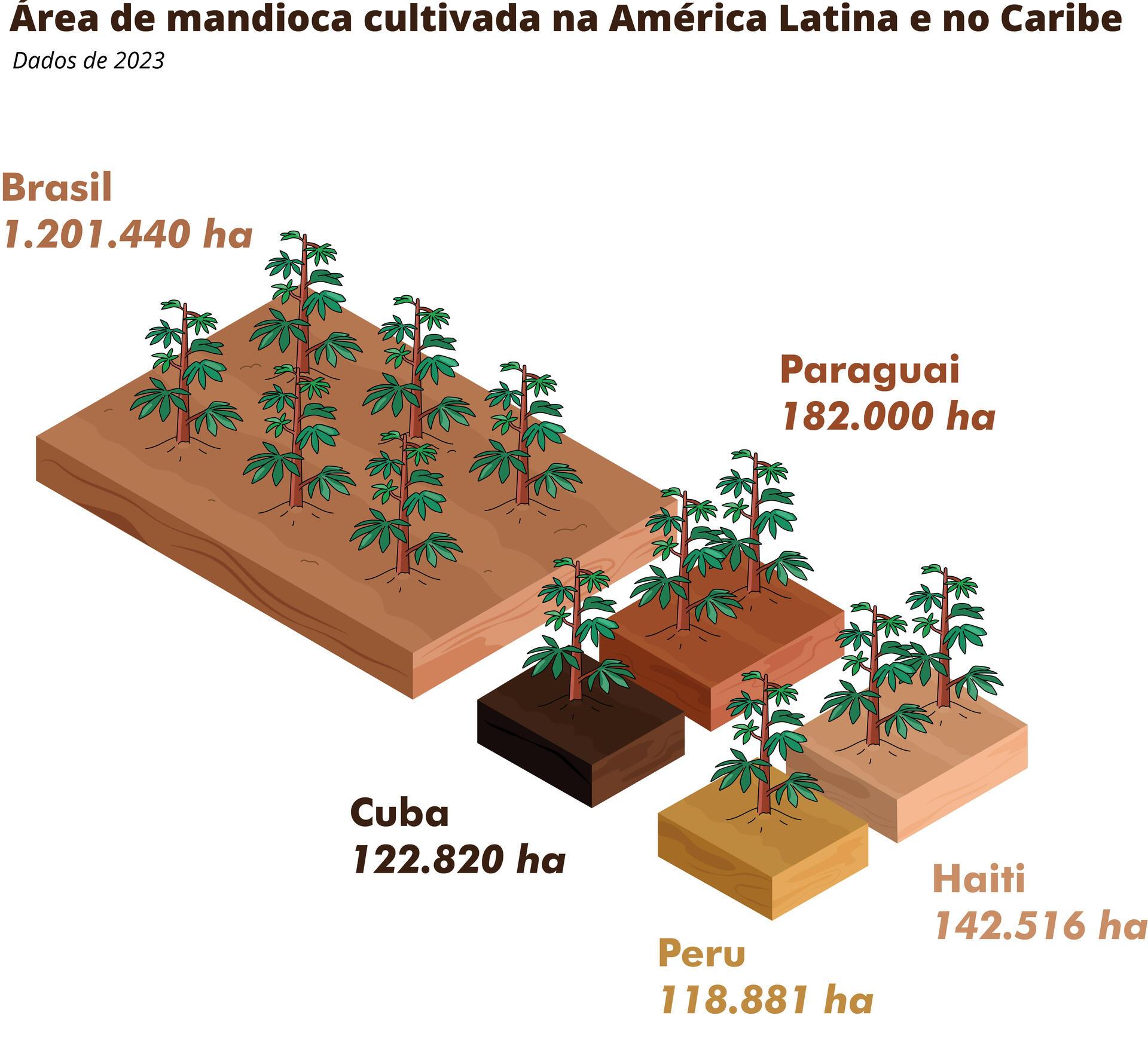 A doen&ccedil;a da vassoura-de-bruxa da mandioca est&aacute; voando pela Am&eacute;rica do Sul -&Aacute;rea de yuca cosechada