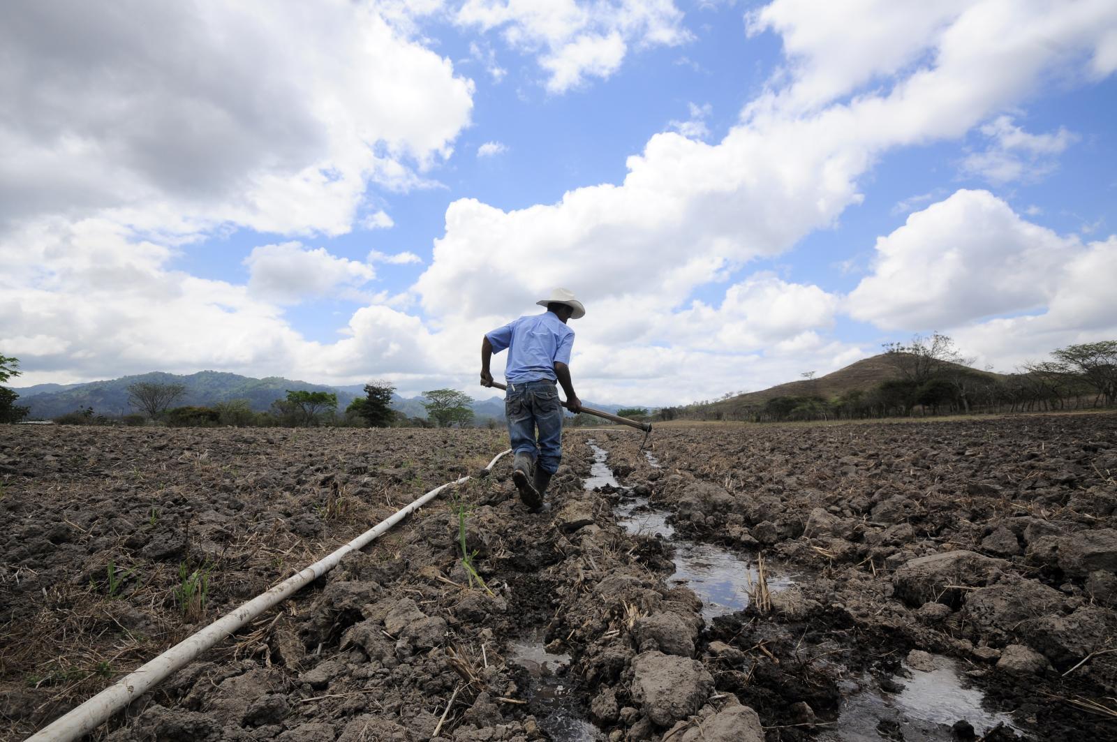 A farmer digs irrigation channels for his maize crop during Honduras' intense dry season - Alliance Bioversity International - CIAT