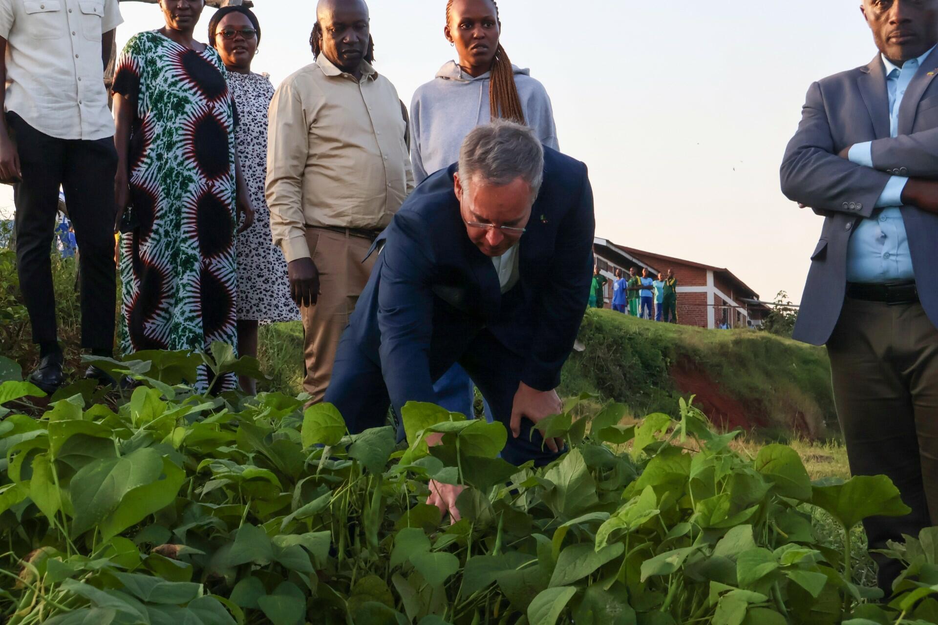 A school meal begins long before it reaches the plate