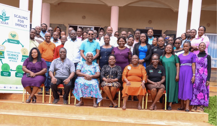 A systems approach to scaling innovations in the agrifood system - Image 2