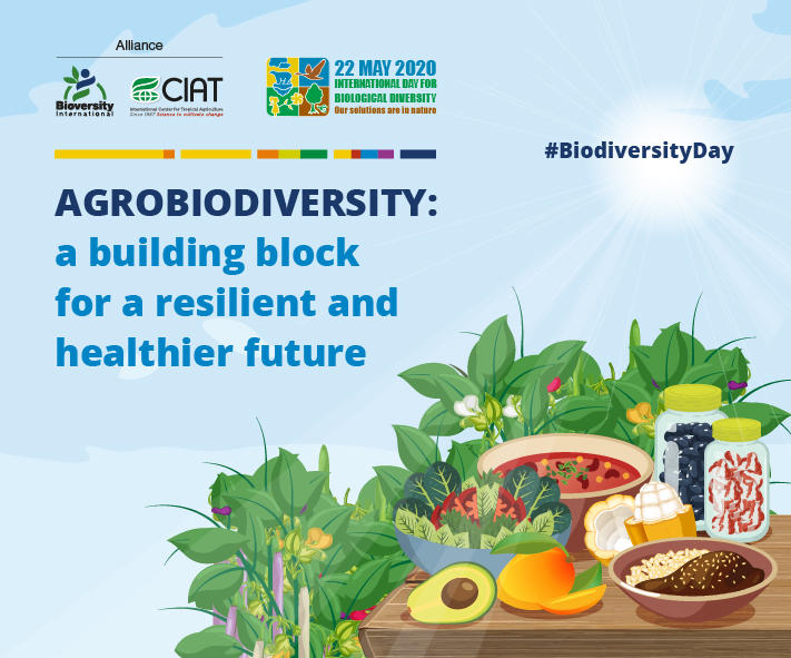 Biodiversity is the foundation of healthy ecosystems. The air we breathe, the food we eat and the water we drink rely on it.