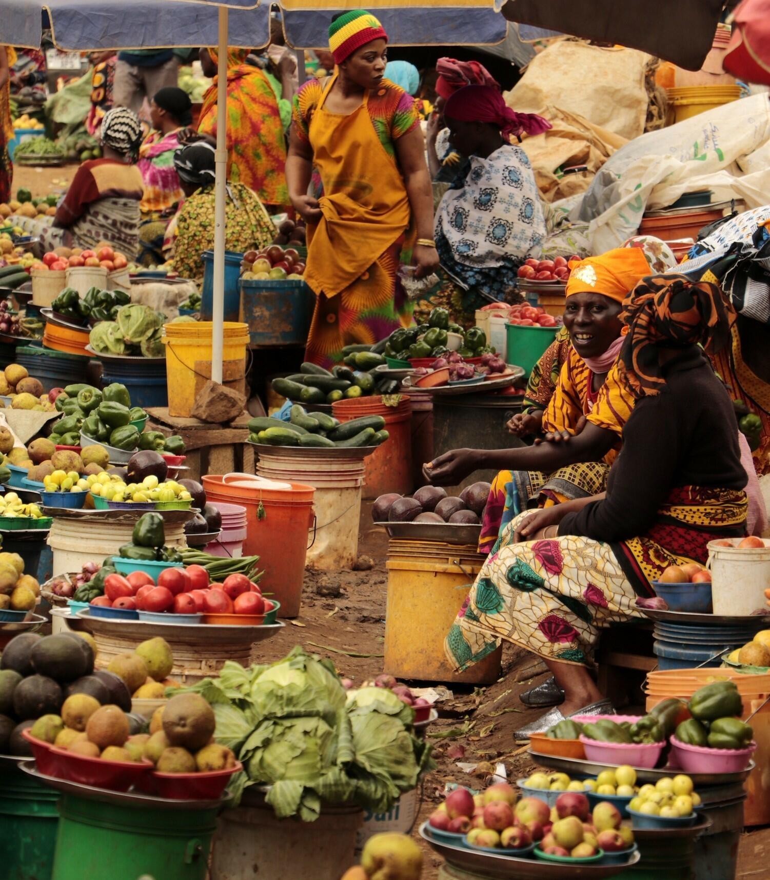 Agrobiodiversity as roots of resilience - Photo with a story contest - Image 1