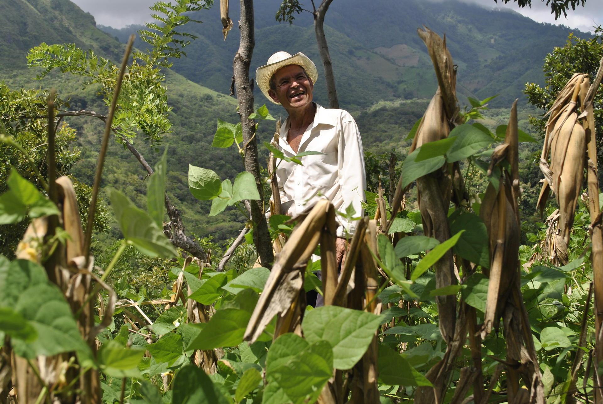 Agrobiodiversity for Climate Action and Ecosystem Restoration - Image 1