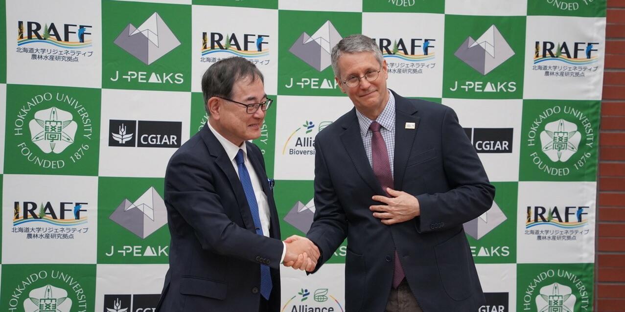 Alliance inks pact with Hokkaido University to launch Japan-CGIAR Food-Agri Innovation Hub - Image 2