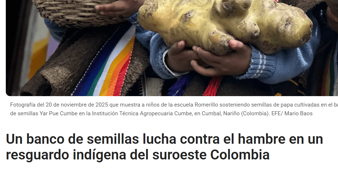 Alliance Social Media, Events, and News Coverage  - Annual Report 2025 - Alliance Bioversity International - CIAT - LAC news - Image 8