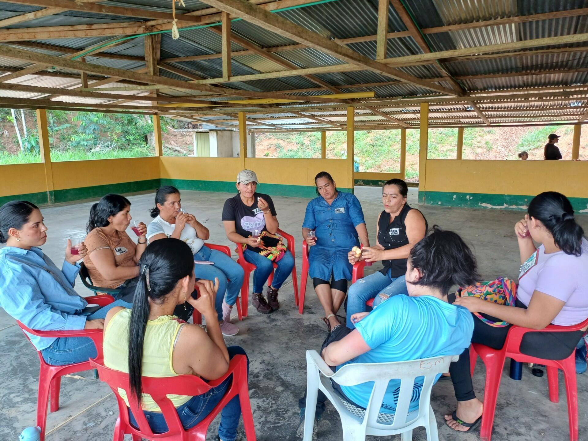 An Exploration of the Dimensions, Roles, and Barriers to Women's Empowerment in Livestock Farming in Colombia - Image 2