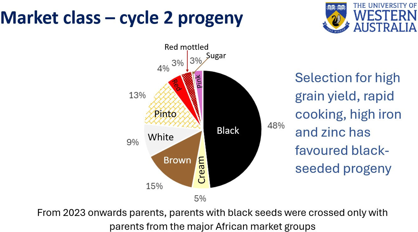 Annual Meeting of the Rapid Cooking Bean Project (RCBP) 5-9 May 2025, Kampala, Uganda - Image 7