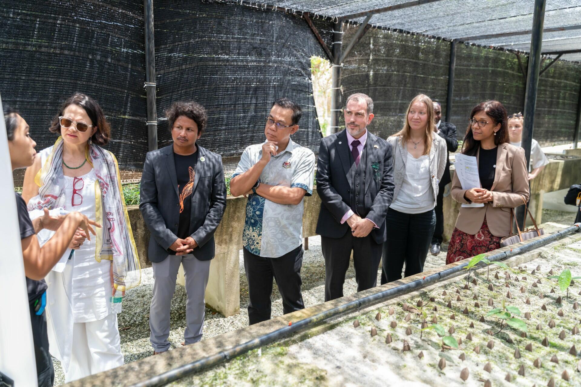 APFORGEN pushes for bolstered regional collaboration for resilient, inclusive forests - Image 1