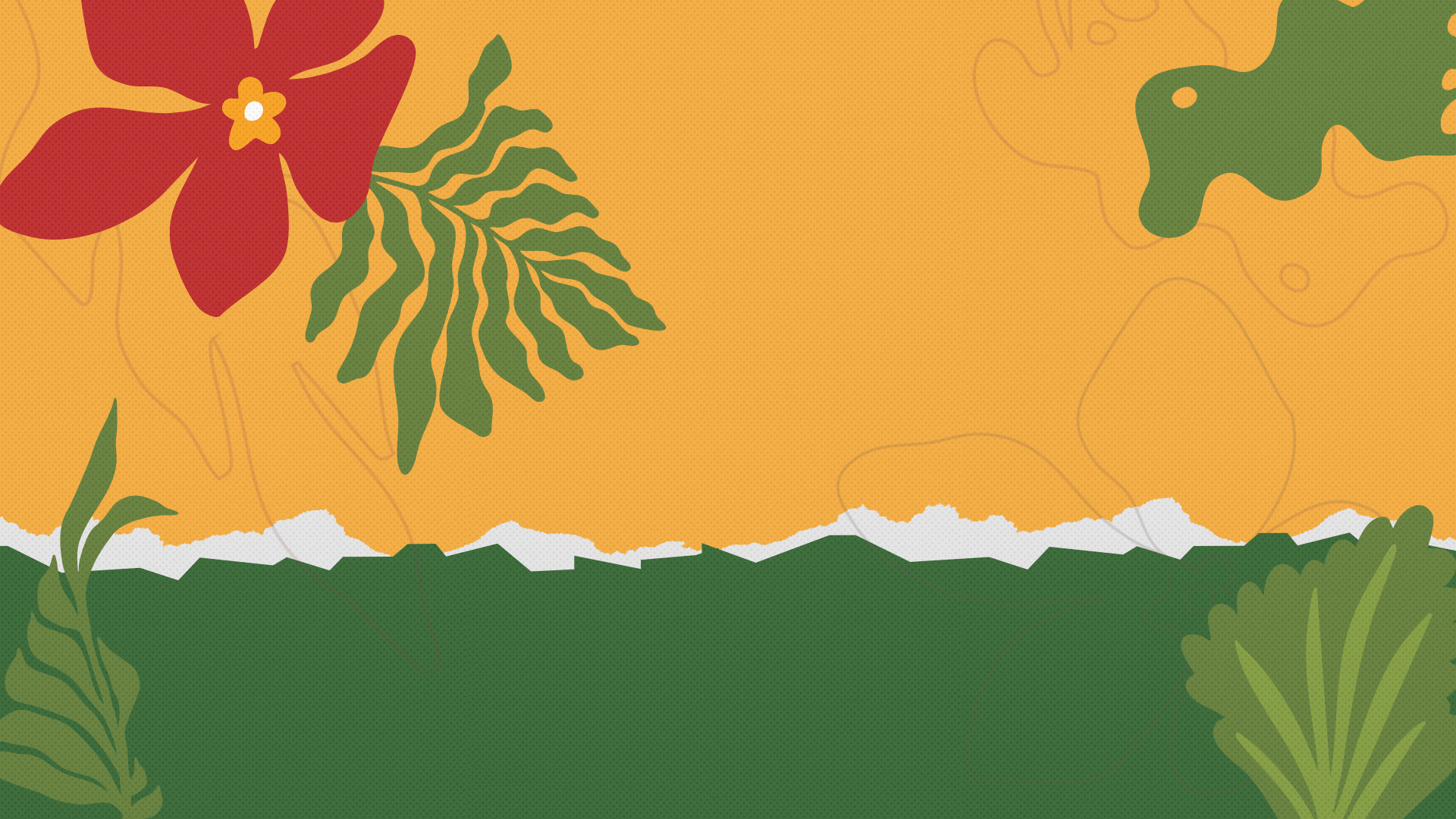 The Alliance at COP30 