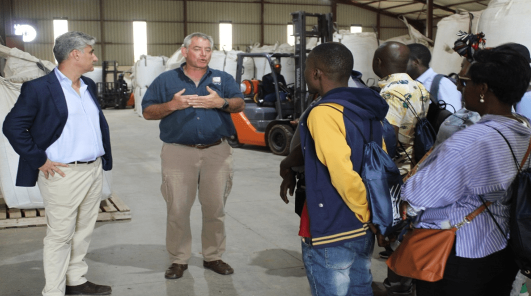 Bean breeders unite to cultivate solutions for Africa’s bean industry - Image 5