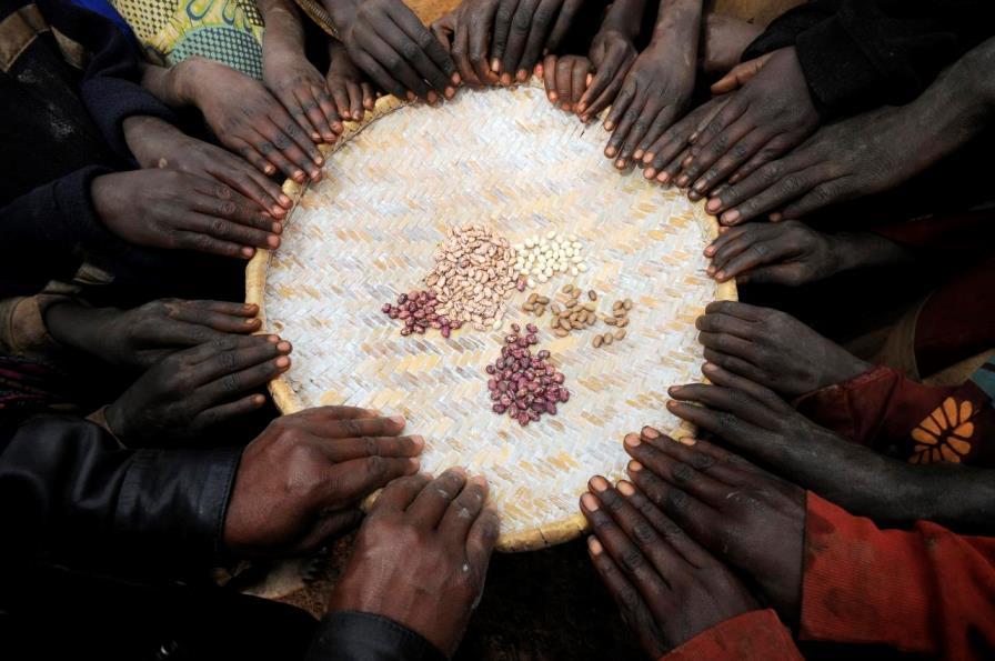 African policy makers turn on to biofortification