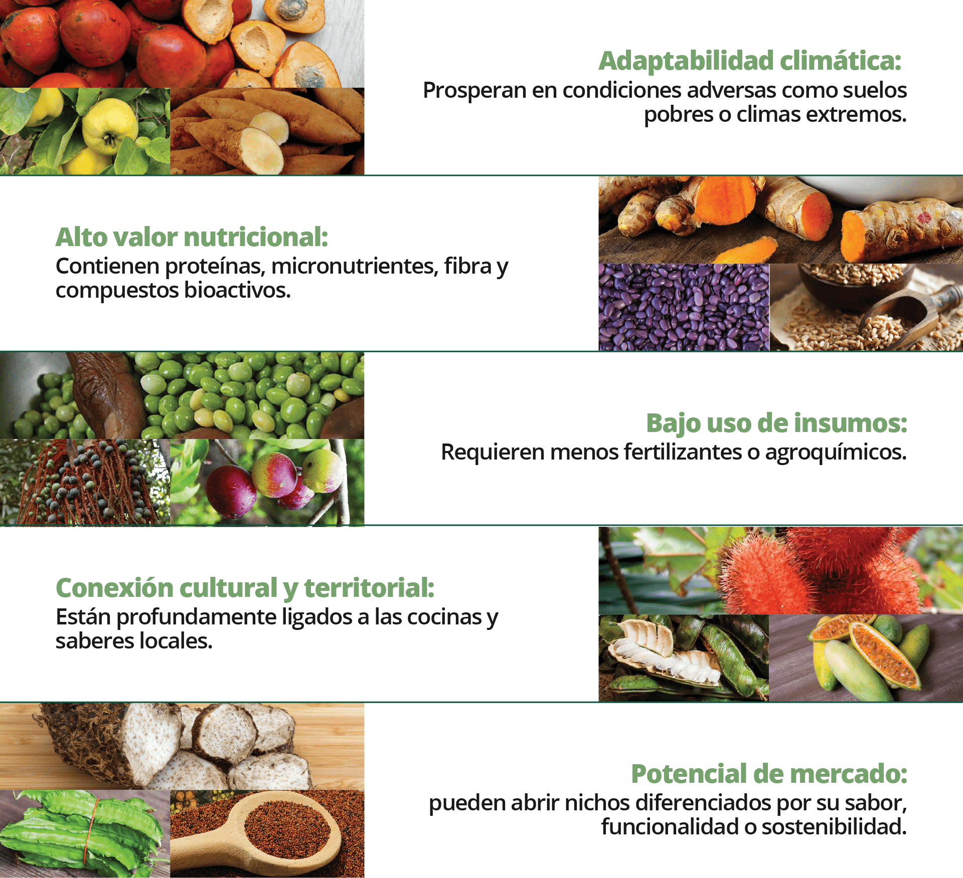 Beneficios cultivo de oportunidad
