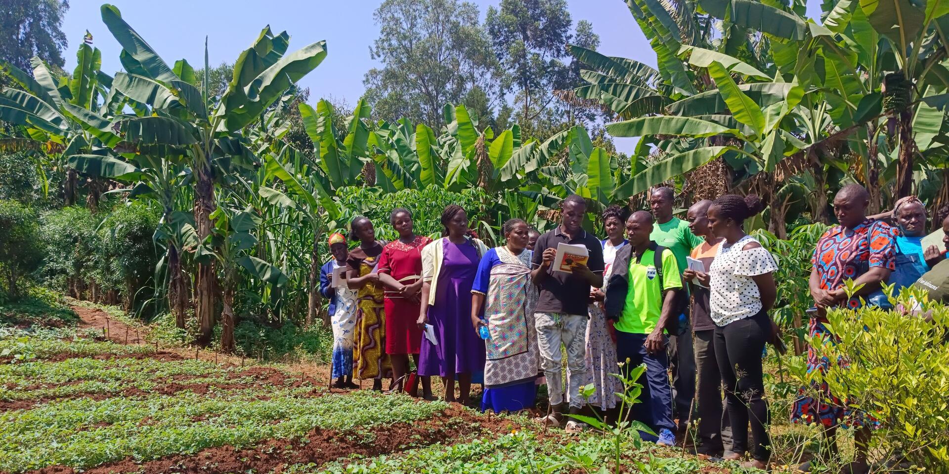 Beyond organic - How Kenya is reshaping food systems with participatory guarantee system and agroecology - Image 7