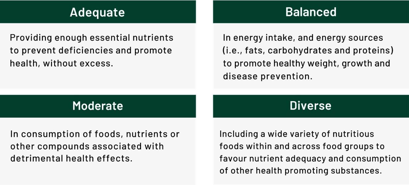 Biodiverse landscapes, biodiverse plates -  lessons from Ucayali and Colombia's new dietary guidelines - 4 principles
