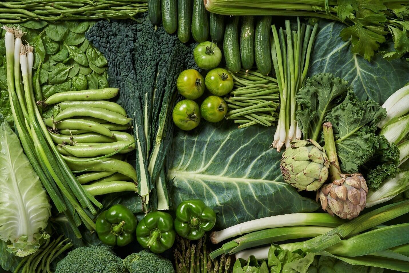 Biodiverse landscapes, biodiverse plates -  lessons from Ucayali and Colombia's new dietary guidelines - Image 1