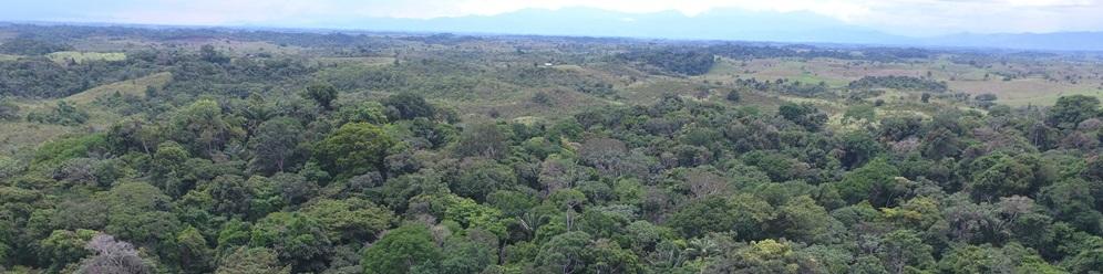 Escalamiento de alternativas de producción ganadera sostenible: Esquemas de financiamiento en la amazonia colombiana