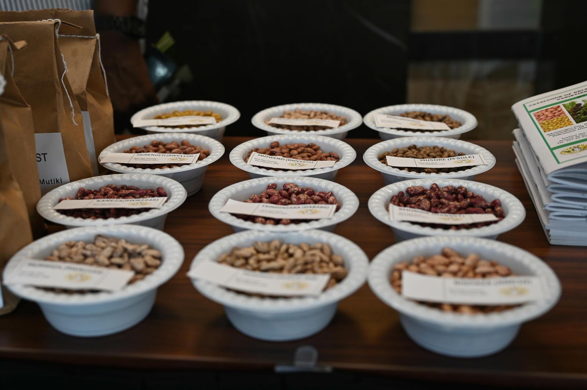 Breeding a better bean starts with knowing what people want - Image 2