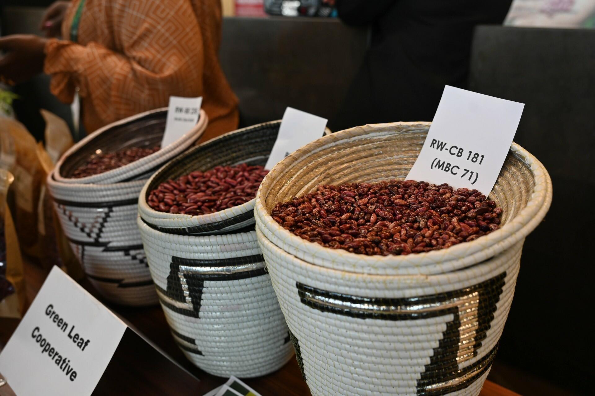 Breeding a better bean starts with knowing what people want - Image 4