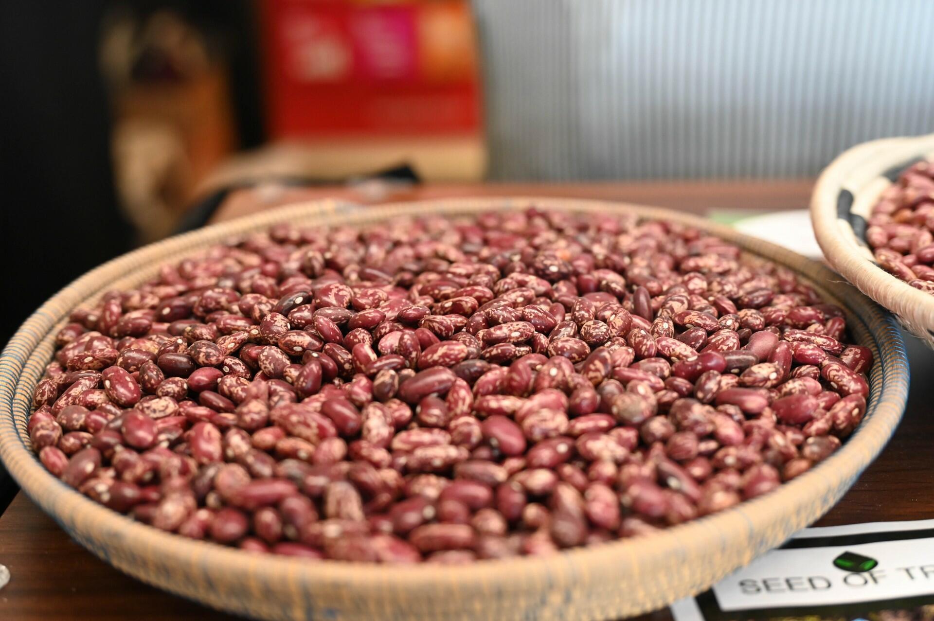 Breeding a better bean starts with knowing what people want - Image 5