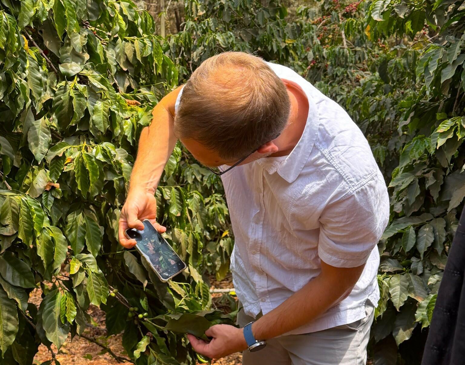 Bridging the gap  Can Croppie take root in Kenya&rsquo;s coffee sector  - Image 1