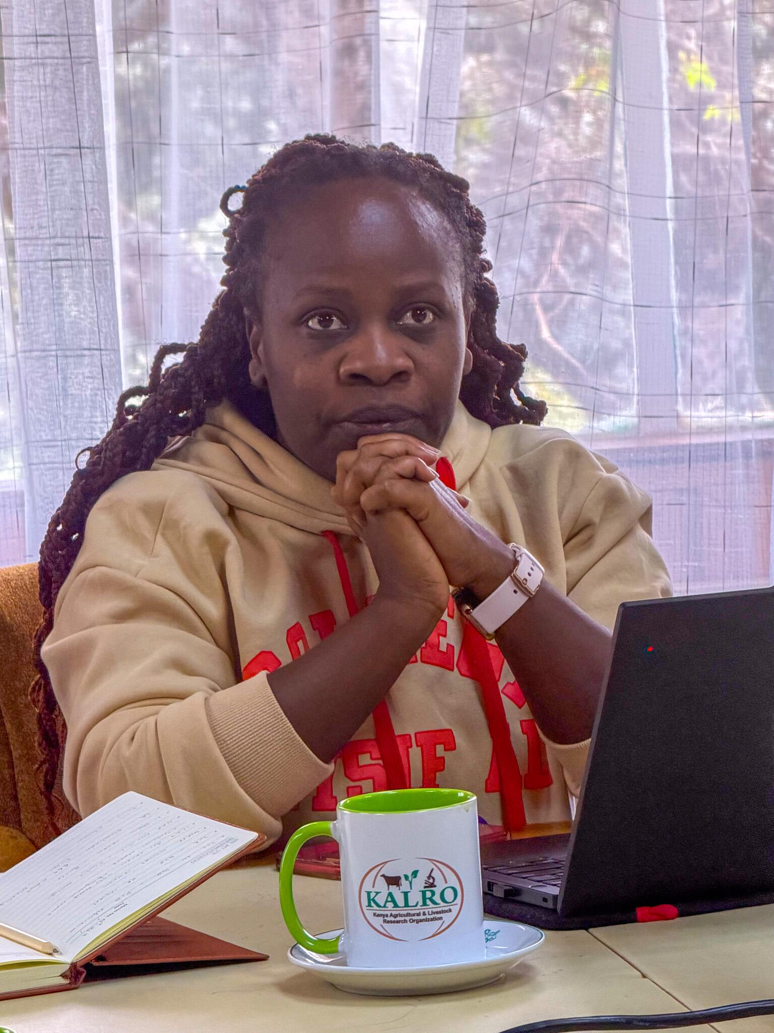 Bridging the gap - Can Croppie take root in Kenya&rsquo;s coffee sector  - Image 6