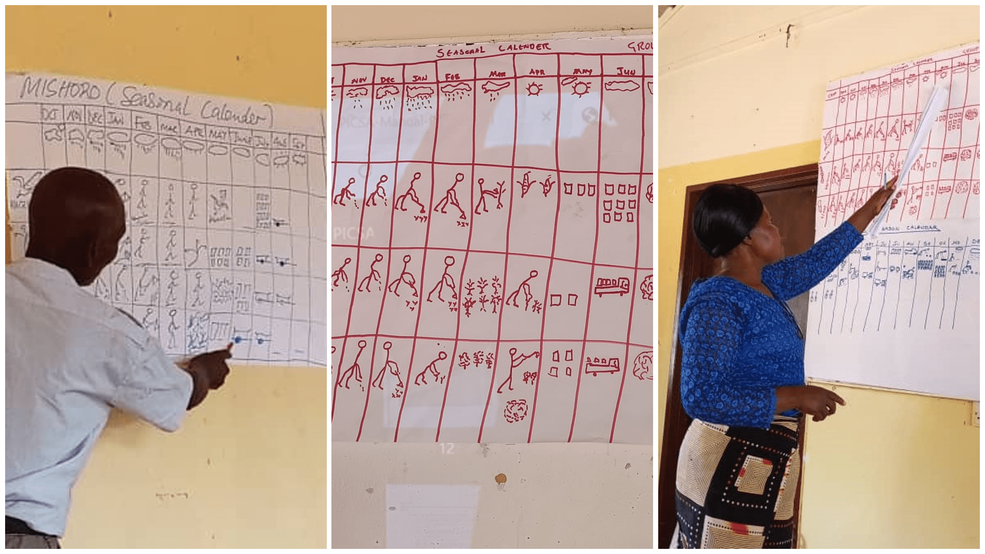 Bridging the “last mile” Delivering Climate Services for Agriculture to Senior Lead Farmers in Four Districts of Zambia - Image 7