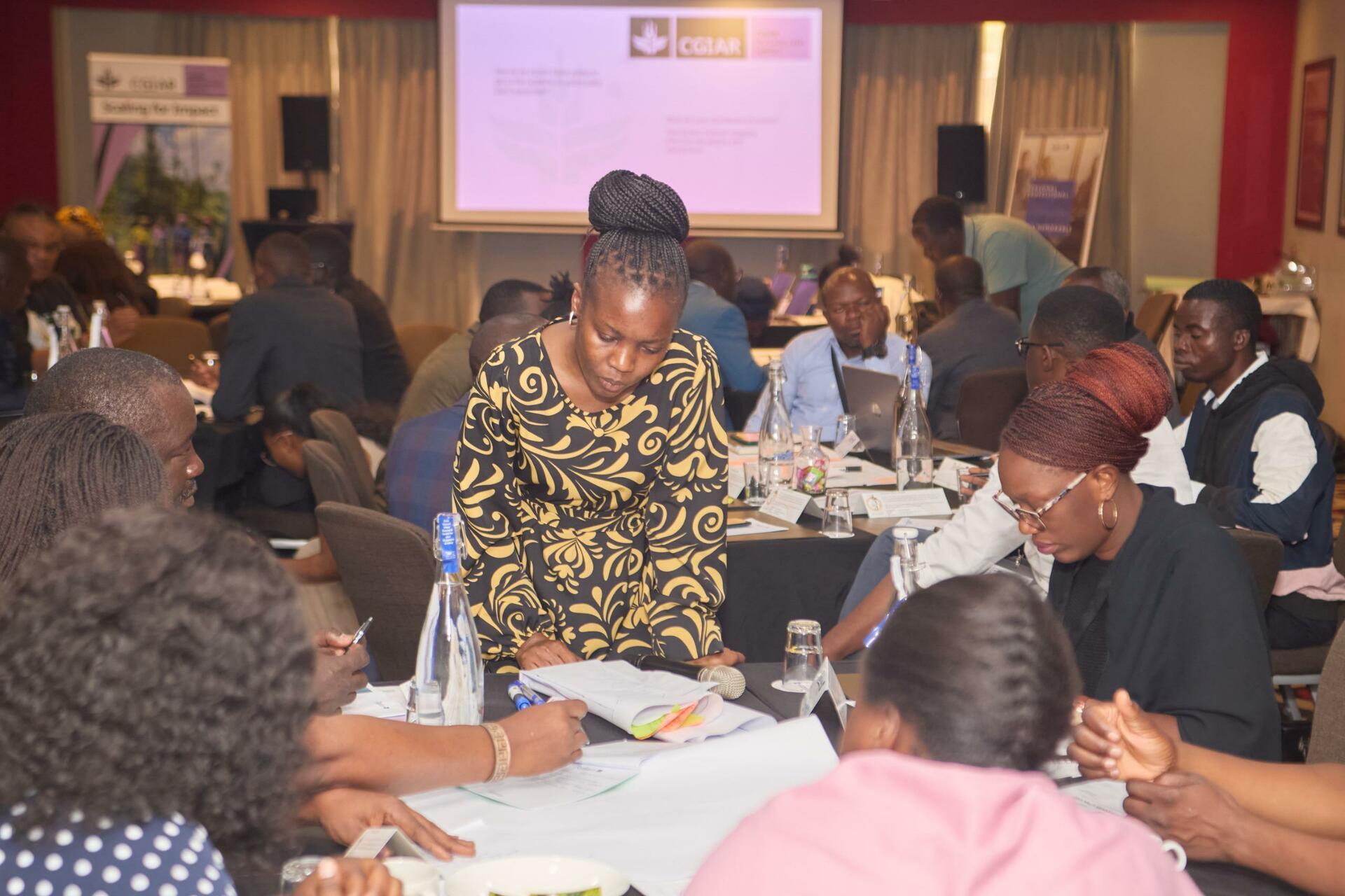 Building Agribusiness foundational capacity in Malawi and Zambia Bootcamps - Image 1