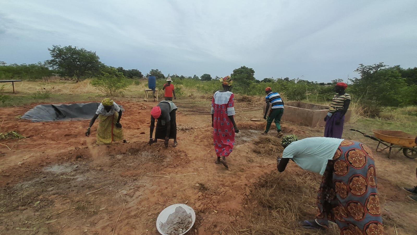 Building resilient farms in Senegal - Water and land management innovations under the AVENIR project - Alliance Bioversity International - CIAT - Image 1