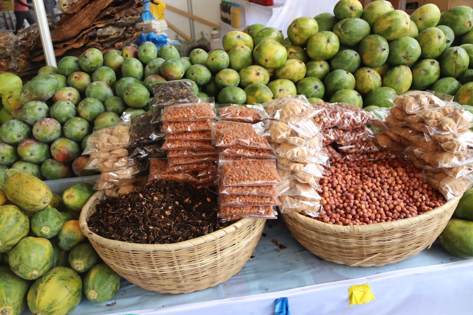 Burkina Faso When science and politics unite for resilient agriculture - Image 2