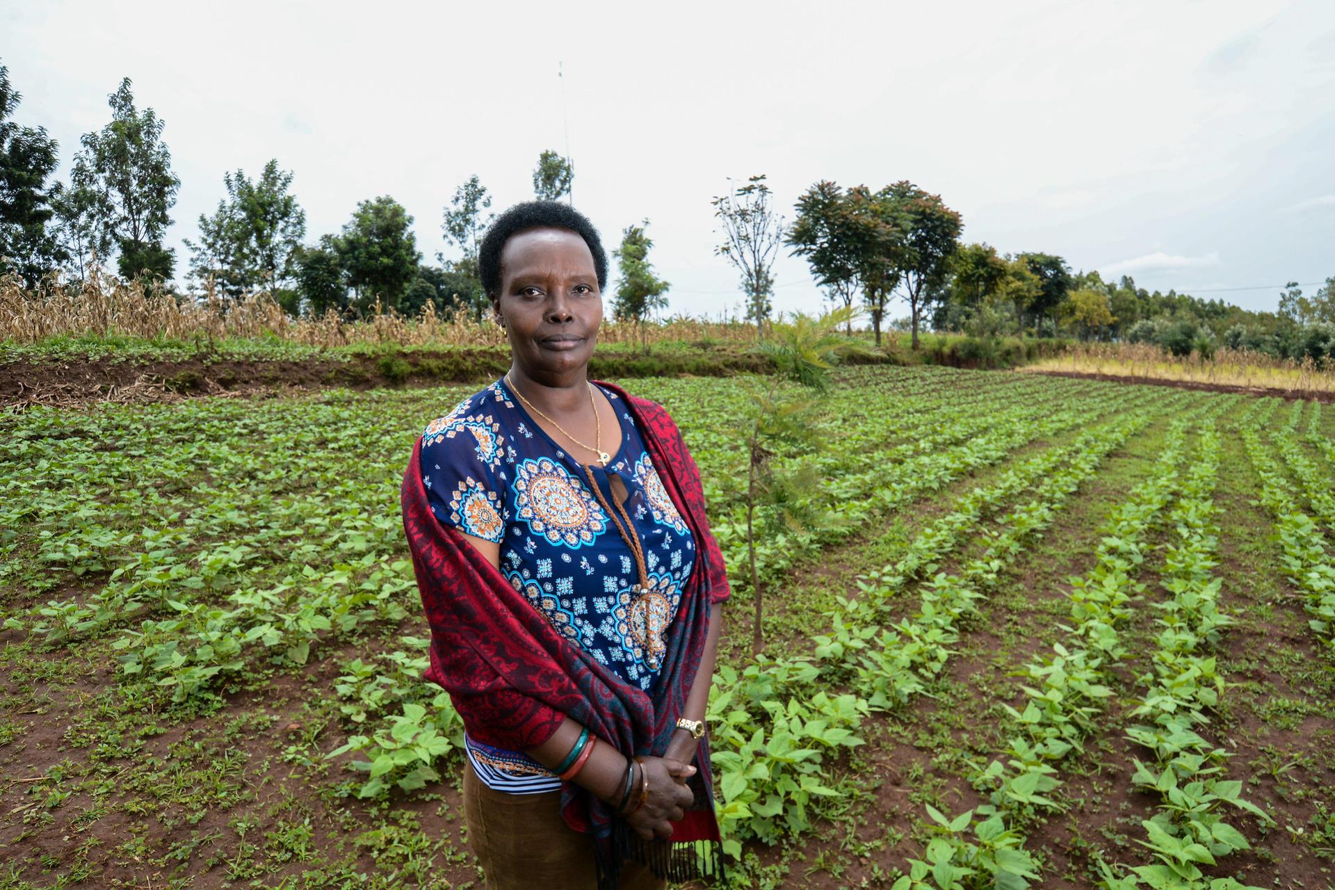 Burundi - Alliance Bioversity International - CIAT - Image 3