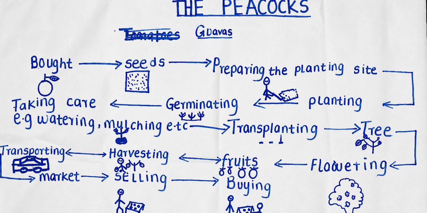 Can a card game transform how children think about food systems - Image 6