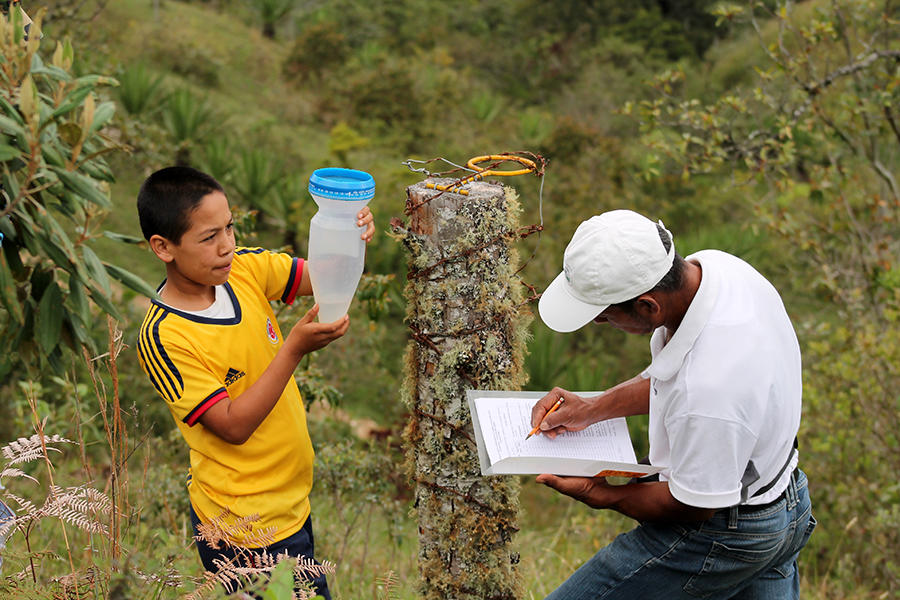 Manual de implementación para las Mesas Técnicas Agroclimáticas permitirá llevar información agroclimática a más agricultores de América Latina