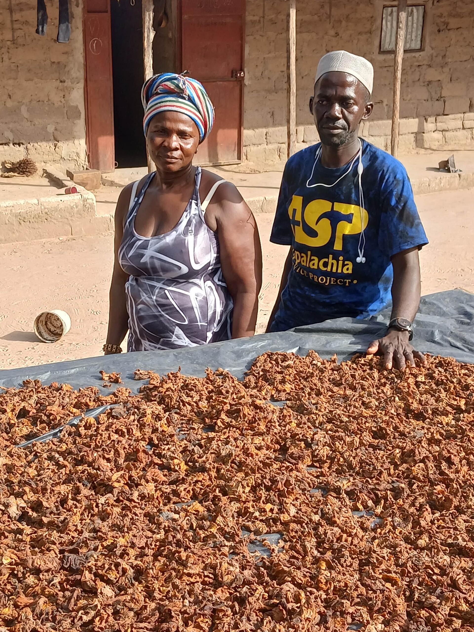 Cashew apples into plant protein - Segniore Mendy reinvents Casamance&rsquo;s cashew chain - Image 1