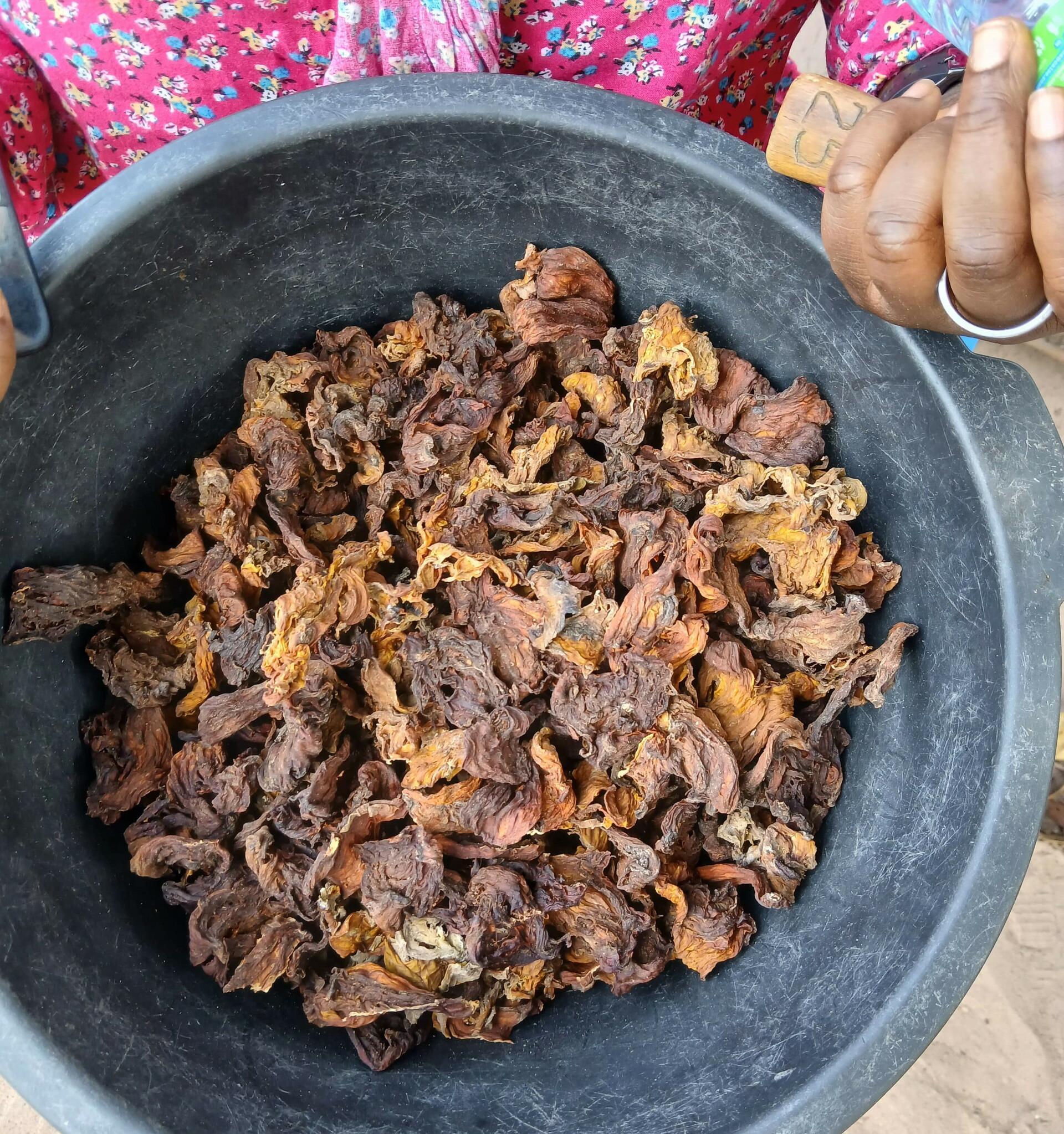 Cashew apples into plant protein - Segniore Mendy reinvents Casamance&rsquo;s cashew chain - Image 2