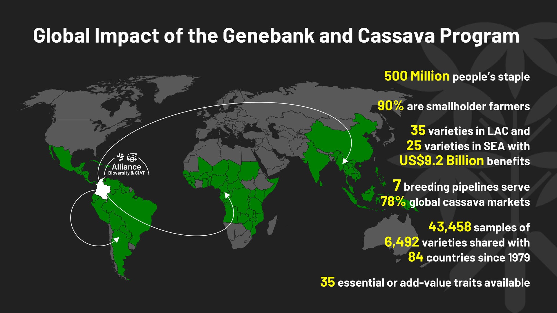 map showing where we work on cassava crop research